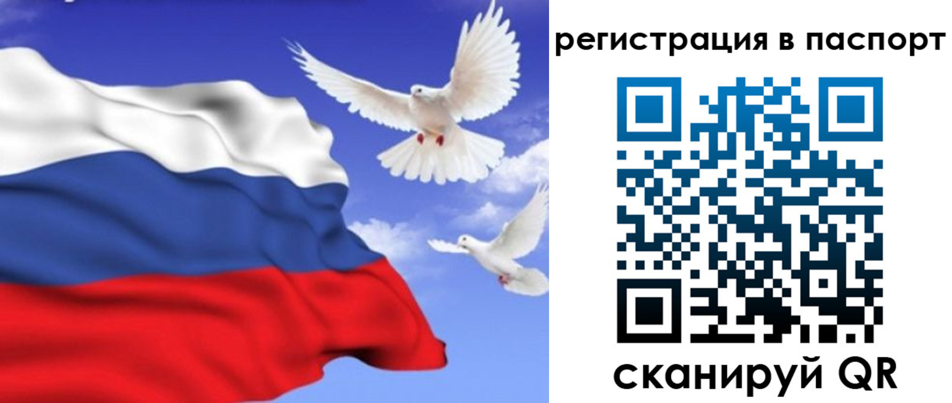 купить прописку в Жирновске